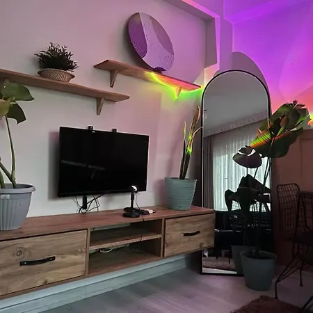 Apartment Uenlue Suits